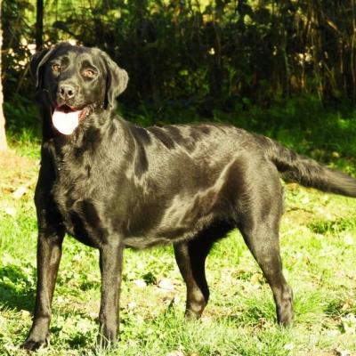 Capture d ecran 2024 02 04 143548